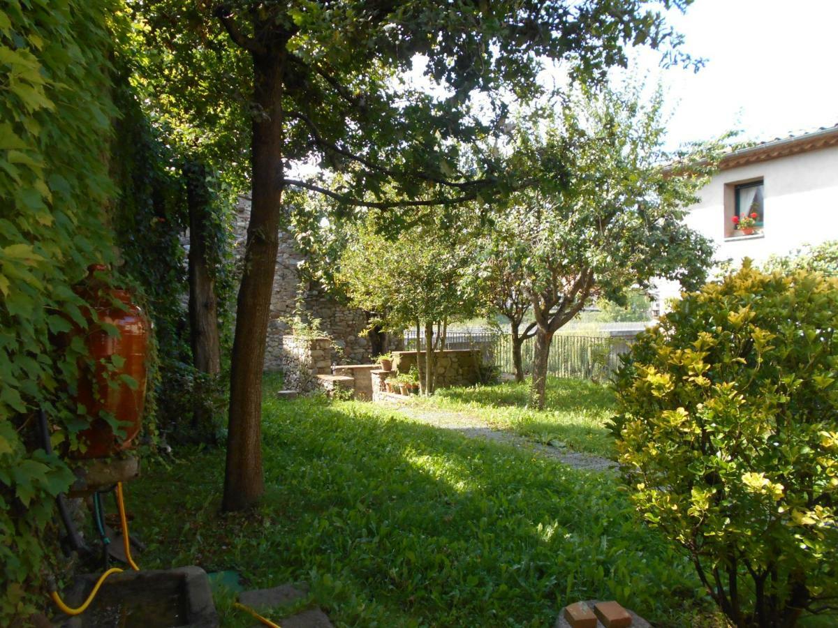 Ca'L Mossen Villa Sant Joan de les Abadesses Eksteriør billede